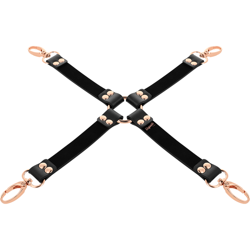 COQUETTE CHIC DESIRE – FANTASY-VEGANLEDER-SCHWEINEFESSEL