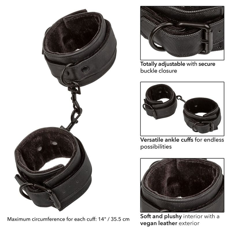 CALEXOTICS - BOUNDLESS-FESSELN