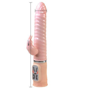 BAILE - HEAT FEUER HASE RAMPANTE TEMPERATUR 10F