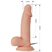 BAILE - WUNDERSCHÖNE BEGEGNUNG ZEBULON VIBRATION 19.4 CM NATUR