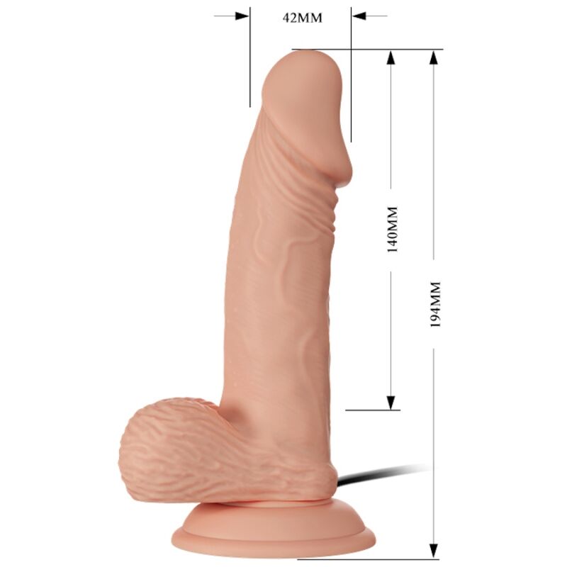 BAILE - WUNDERSCHÖNE BEGEGNUNG ZEBULON VIBRATION 19.4 CM NATUR