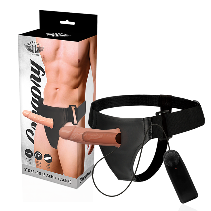 HARNESS ATTRACTION - GREGORY HOLLOW RNES WITH Sensory Device 16.5 CM -O- 4.3 CM
