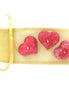 EXTASE SENSUAL - ORAL PASSION CHEST