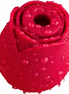 ARMONY - DELIGHT BLUME ROT SAUGNAPF