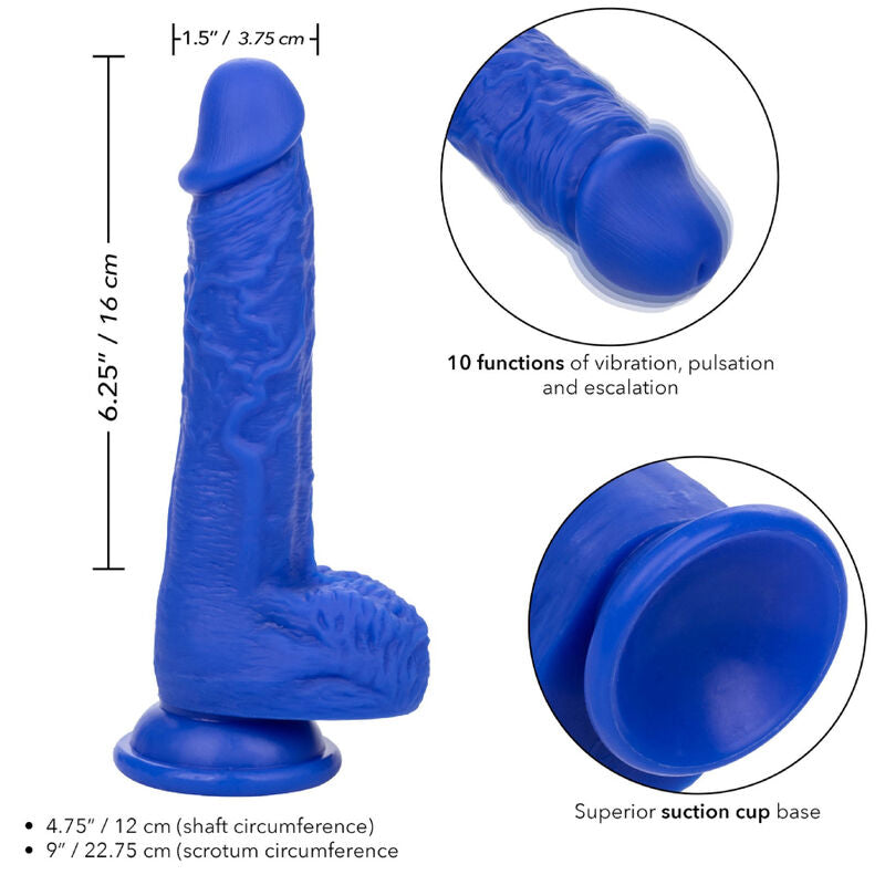 CALEXOTICS - ADMIRAL SAILOR REALISTIC Wellness Device Sensory Device BLUE