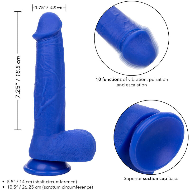 CALEXOTICS - ADMIRAL CAPTAIN REALISTIC Wellness Device Sensory Device BLUE