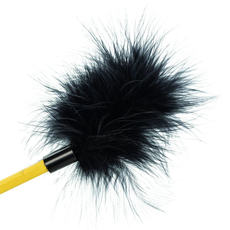 CALEXOTICS - BOUNDLESS FEDER CROP