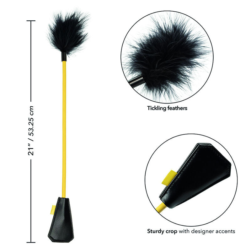 CALEXOTICS - BOUNDLESS FEDER CROP
