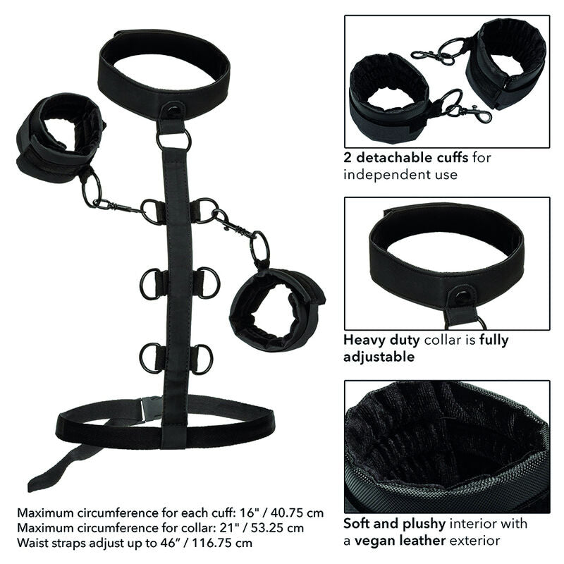 CALEXOTICS - BOUNDLESS COLLAR KÖRPERZWANG
