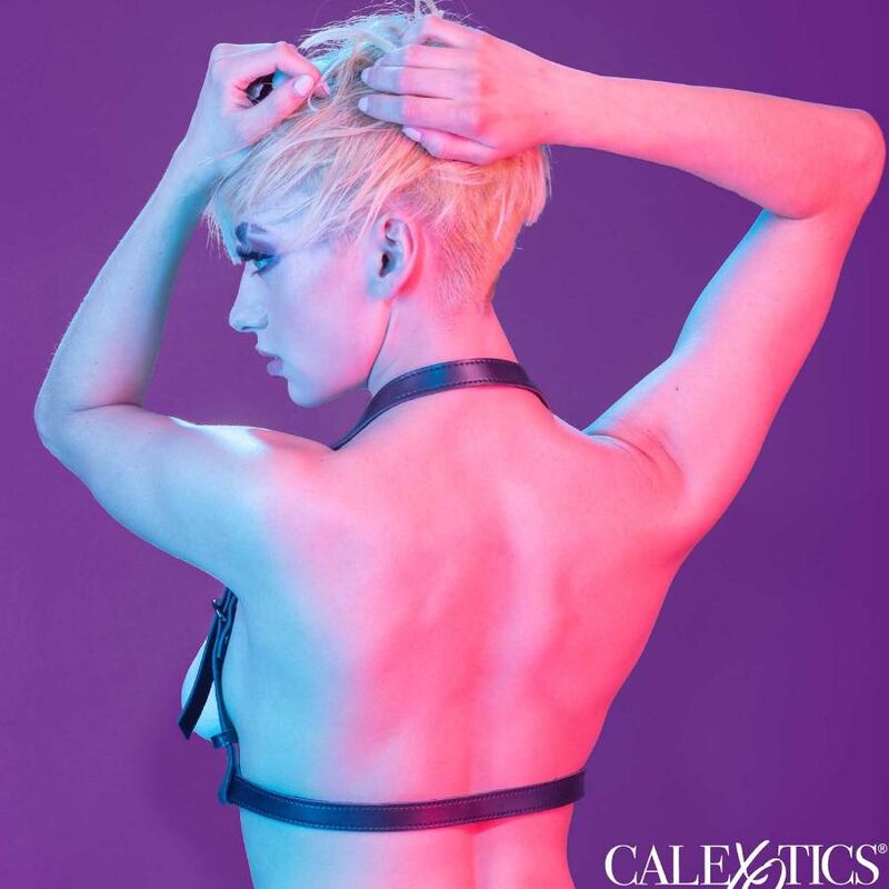 CALEXOTICS - EUPHORIA HALFTOP SCHNALLENGESCHIRR SCHWARZ