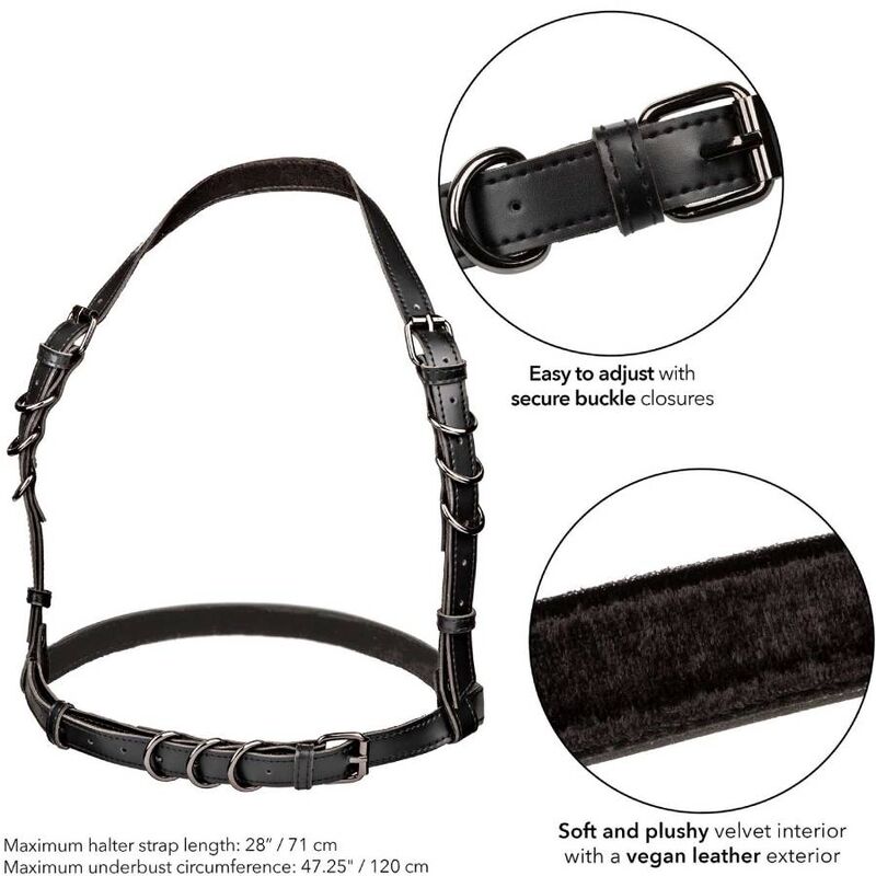 CALEXOTICS – EUPHORIA PLUS SIZE NECKHALTER-SCHNALLE-GESCHIRR SCHWARZ