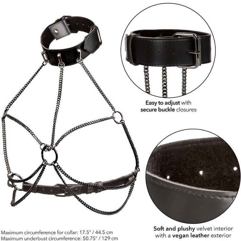 CALEXOTICS – EUPHORIA PLUS SIZE MEHRFACHKETTEN-HALSBANDGESCHIRR