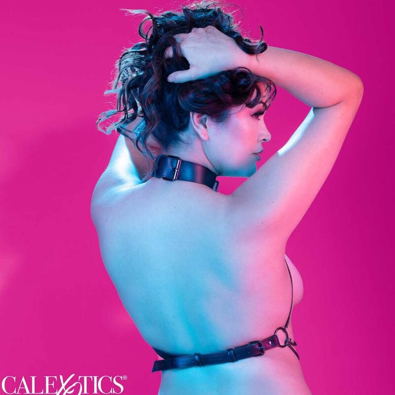 CALEXOTICS – EUPHORIA PLUS SIZE MEHRFACHKETTEN-HALSBANDGESCHIRR