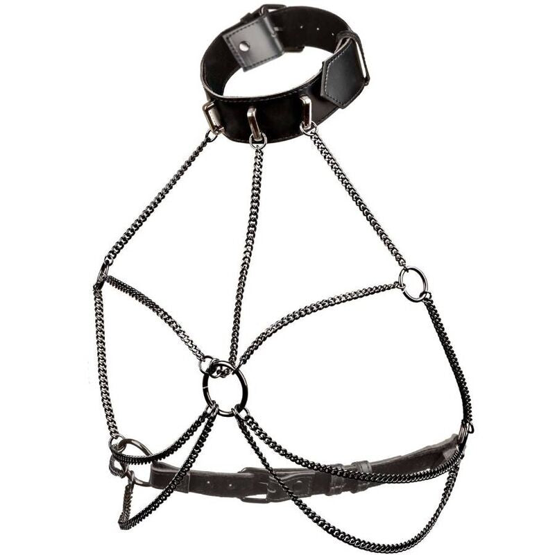 CALEXOTICS – EUPHORIA PLUS SIZE MEHRFACHKETTEN-HALSBANDGESCHIRR
