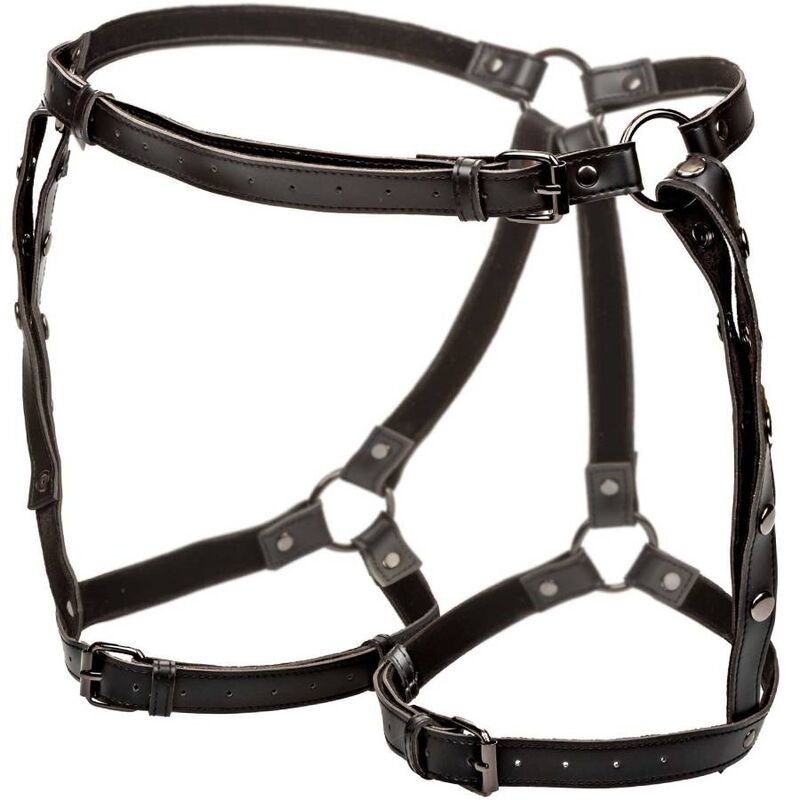 CALEXOTICS - EUPHORIA REITGURT FÜR DEN OBERSCHENKEL