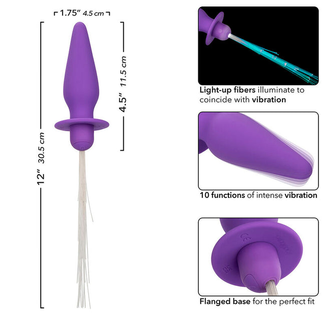 CALEXOTICS - SOUTHERN LIGHTS LEUCHTENDER ANALPLUG 10 VIBRATIONEN SILIKON LILA