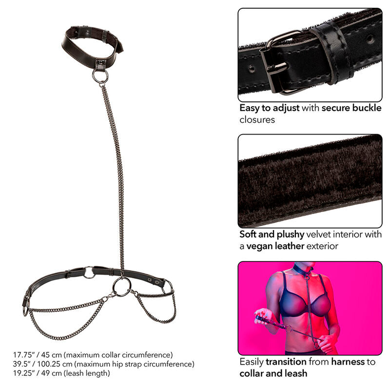CALEXOTICS - EUPHORIA KETTEN-HALSBAND & LEINE