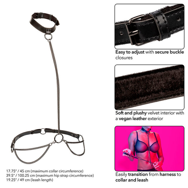 CALEXOTICS - EUPHORIA KETTEN-HALSBAND & LEINE