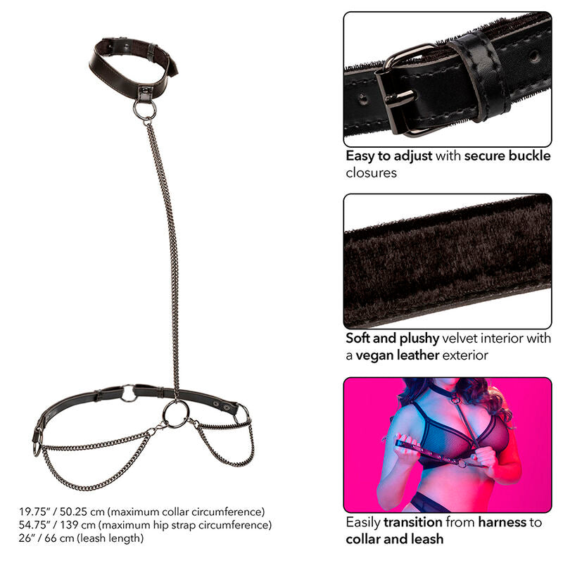 CALEXOTICS - EUPHORIA KETTENHALSBAND & LEINE ÜBERGRÖSSE
