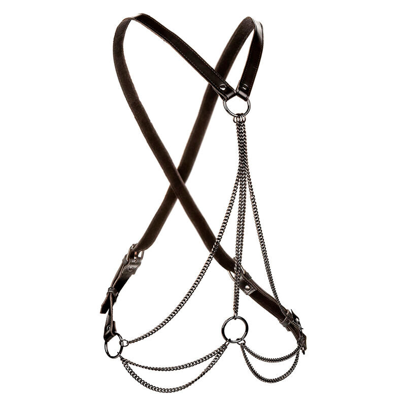 CALEXOTICS - EUPHORIA MEHRKETTENGESCHIRR PREMIUM PLUS SIZE