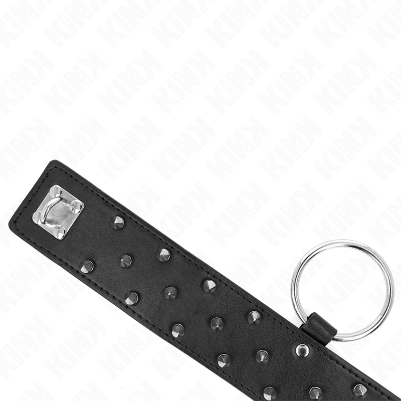 KINK - HALSBAND MIT LEINE 65 CM MIT SILBERNEN NIETEN MODELL 5 VERSTELLBAR 36-43 CM X 5 CM