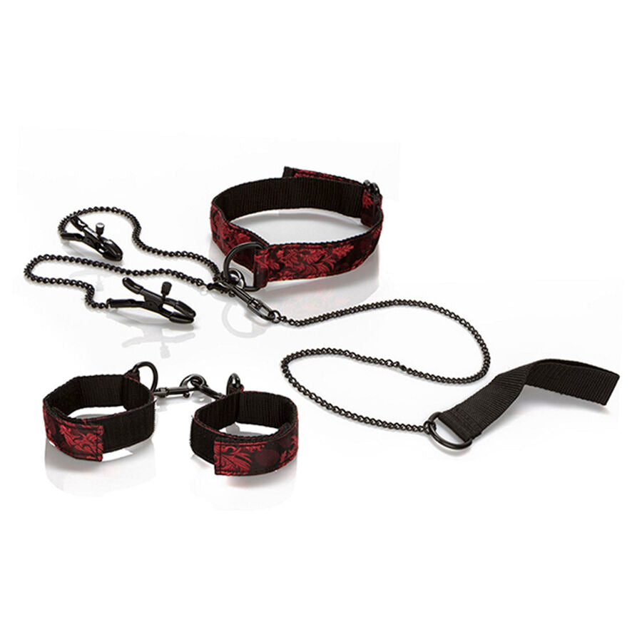CALEXOTICS - SCANDAL-FESSELSET