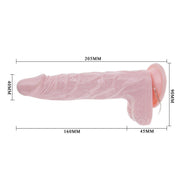 BAILE - SUPER ROTA DONG REALISTIC Wellnessgerät 20,5 CM