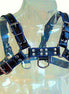 LEATHER BODY - BLUE AND BLACK LEATHER HARNESS CHEST BULLDOG