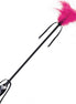 SECRETPLAY - BLACK AND FUCHSIA WHIP & FEATHER