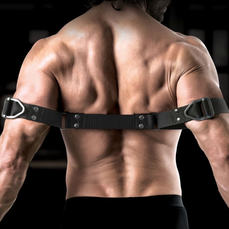 SIR RICHARDS - KOMMANDO BICEPS-BIEGER