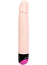 BAILE - COLORFUL SEX VIBRATION AND ROTATION 24 CM