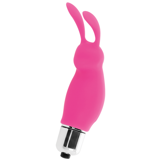 INTENSIV - HASE ROGER ROSA