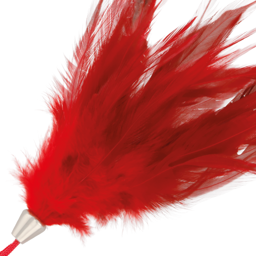 DUNKELHEIT – ROTER STIMULIERENDER PENIS 17CM