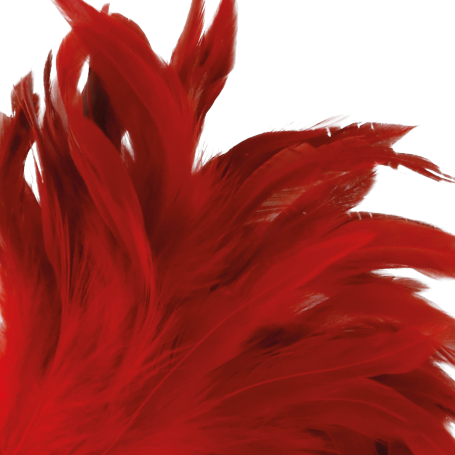 DARKNESS - ROTER STIMULATIONSSTIFT 24CM