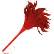 DARKNESS - ROTER STIMULATIONSSTIFT 24CM