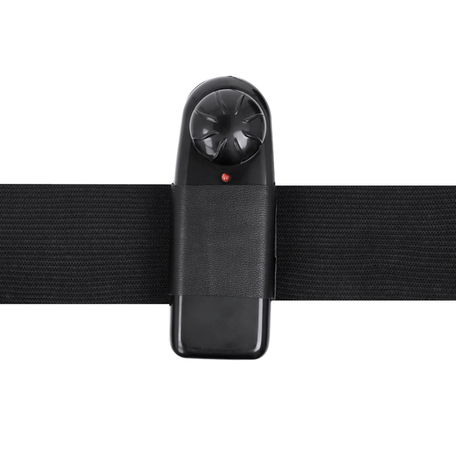 HARNESS ATTRACTION - GREGORY HOLLOW RNES WITH Sensory Device 16.5 CM -O- 4.3 CM