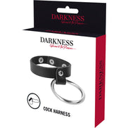 DARKNESS – METALLRING FÜR PENIS UND HODEN