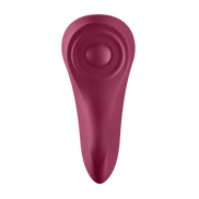 SATISFYER - SEXY SECRET PANTY